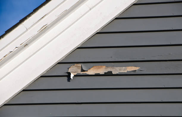 Storm Damage Siding Repair in Tok, AK